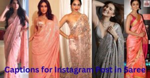 Captions for Instagram Post in Saree