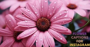 Flower Captions for Instagram