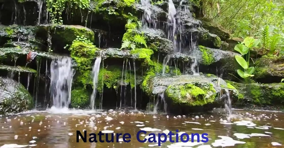 Nature Captions